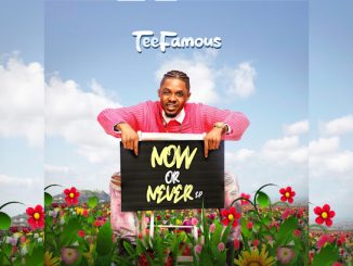 Download TeeFamous Dira Ft. Portable Mp3