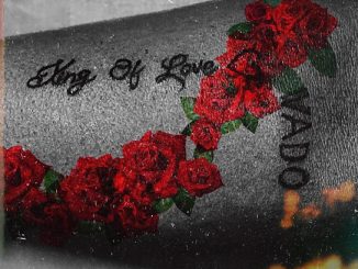 Download Kizz Daniel King Of Love Album