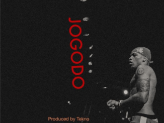 Tekno Jogodo
