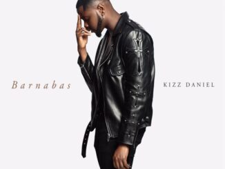 Kizz Daniel Fashion Album Cover